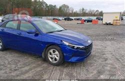 هیۆندای ئەلەنترا